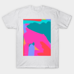 Pink and Aqua T-Shirt